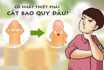 dia-chi-cat-bao-quy-dau-uy-tin-tai-ha-noi